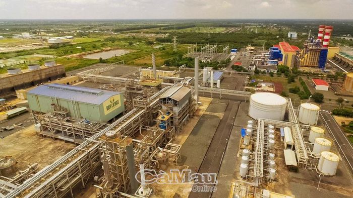 Năm 2023, thu ngân sách từ cụm khí - điện - đạm đạt 491 tỷ đồng, bằng 145% so dự toán năm.