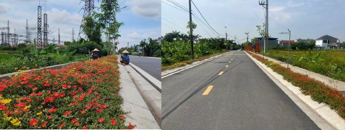 Tuyến đường hoa được xây dựng trong chương trình nông thôn mới kiểu mẫu tại huyện An Dương (TP Hải Phòng). Ảnh: Phương Thanh.