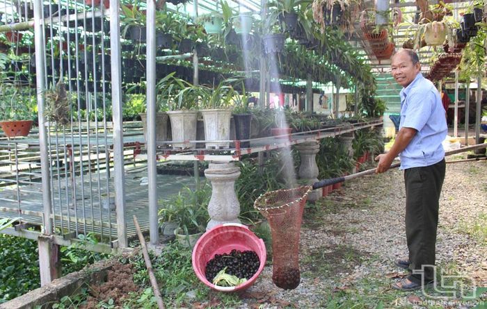 Ông Trần Đức Quân, người có uy tín ở xóm Trung Thần, xã Hóa Trung, luôn phát huy tinh thần gương mẫu trong phát triển kinh tế và các phong trào khác của địa phương.