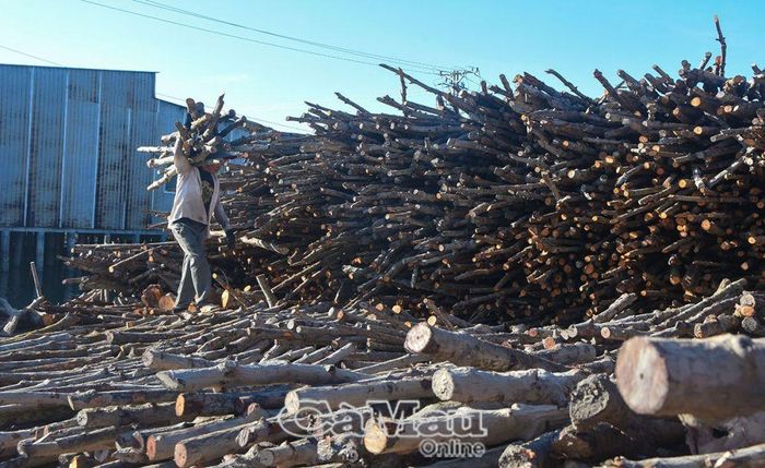 Dù công việc khá nặng nhọc nhưng những lao động nơi đây vẫn bám trụ với nghề.