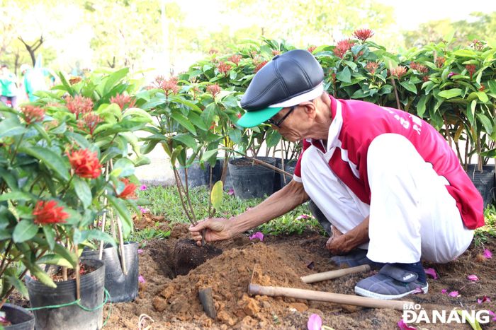 Người dân quận Hải Châu tham gia Tết trồng cây. Ảnh: TRỌNG HUY