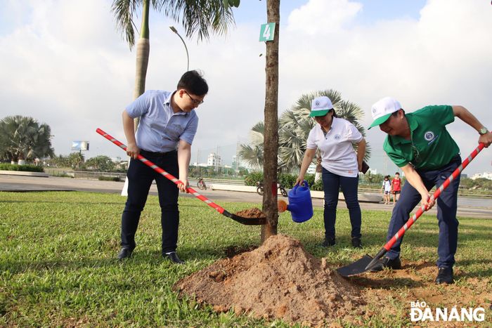 Lãnh đạo quận Hải Châu tham gia Tết trồng cây. Ảnh: TRỌNG HUY