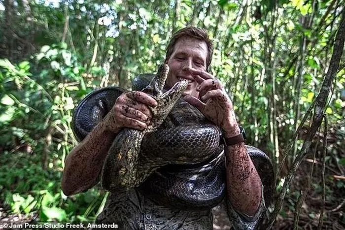 Nhóm nghiên cứu đã phát hiện ra một loài trăn Anaconda xanh mới, đánh dấu sự khác biệt với loài trăn xanh truyền thống được tìm thấy ở phía bắc Nam Mỹ.