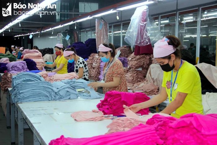  Ngành may mặc có nhu cầu tuyển dụng cao sau Tết trên địa bàn Nghệ An. Ảnh: Quang An 