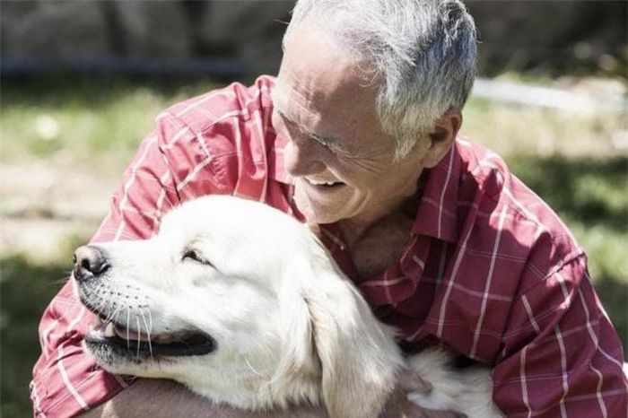 Thú nuôi là những người bạn đồng hành tuyệt vời