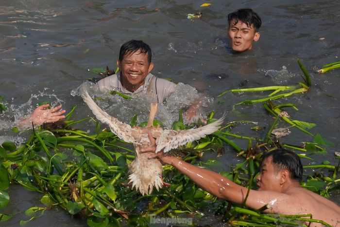 "Tất cả người dự thi đều phải bắt vịt bằng tay không, không được sử dụng bất kỳ dụng cụ hỗ trợ nào. Cuộc thi không giới hạn số người tham gia. Ai có khả năng thì cứ nhảy xuống bắt, chỉ cần biết bơi lội thôi" - một thành viên thả vịt cho hay. 