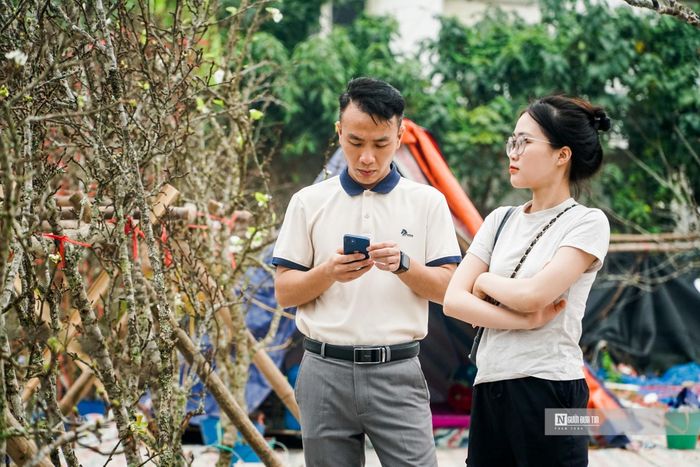 "Năm nay tôi bán hoa lê rừng được trồng chủ yếu ở Điện Biên, Lai Châu và Lạng Sơn. Giá cả tùy từng cành, tùy chất lượng từ vài trăm đến cả chục triệu đồng/cành". một tiểu thương chia sẻ.