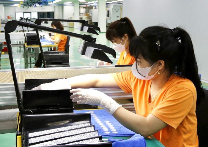Công nhân làm việc tại Công ty TNHH JNTC Vina.