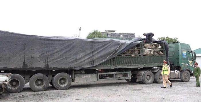 Phương tiện bị bắt giữ. Ảnh: HH