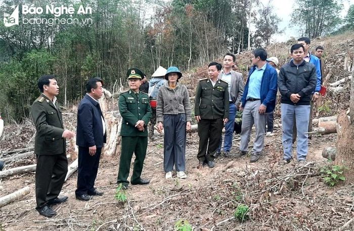  Phó Chủ tịch UBND tỉnh Nguyễn Văn Đệ trao đổi với các lực lượng chức năng trên địa bàn. Ảnh: PV 