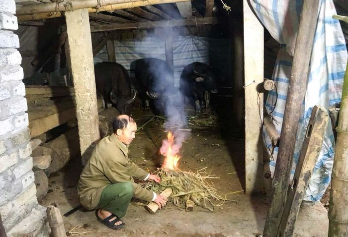  Người dân vùng cao đốt lửa sưởi ấm cho gia súc. Ảnh: T.P 