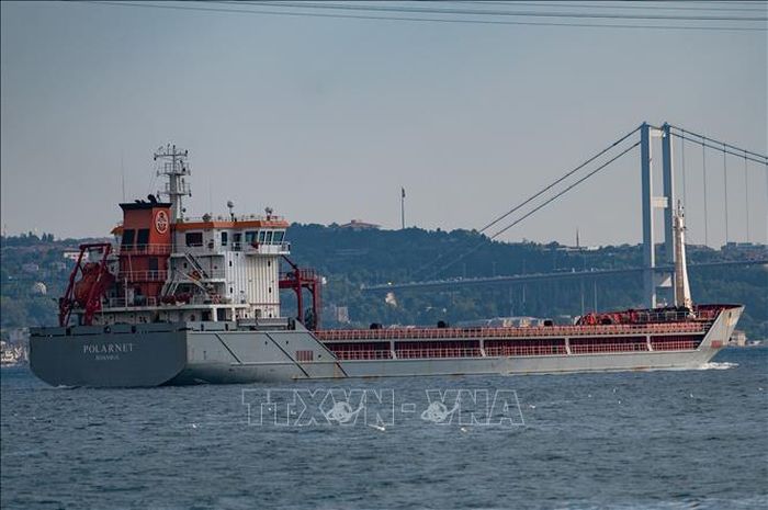 Tàu chở ngũ cốc của Ukraine di chuyển dọc Eo biển Bosphorus qua Istanbul, Thổ Nhĩ Kỳ. Ảnh: AFP/TTXVN