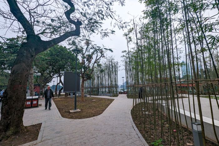 Hồ Trúc Bạch vốn nổi tiếng với những rặng trúc và những xưởng làm lụa bạch – lụa tơ tằm của người dân. Việc trồng trúc ven hồ Trúc Bạch với ý tưởng khơi gợi lại hình ảnh xưa