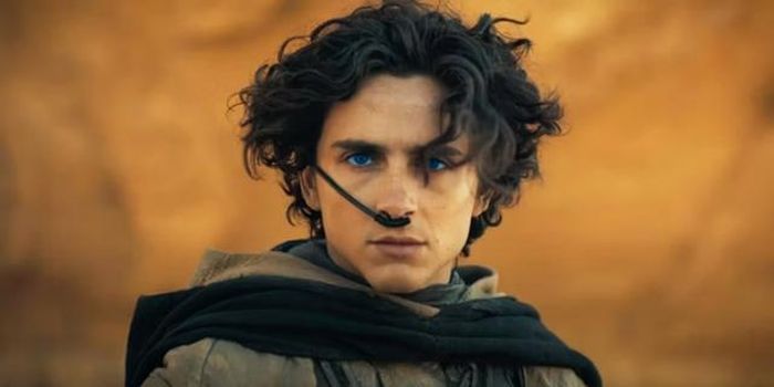 Paul Atreides do Timotheé Chalamet đóng