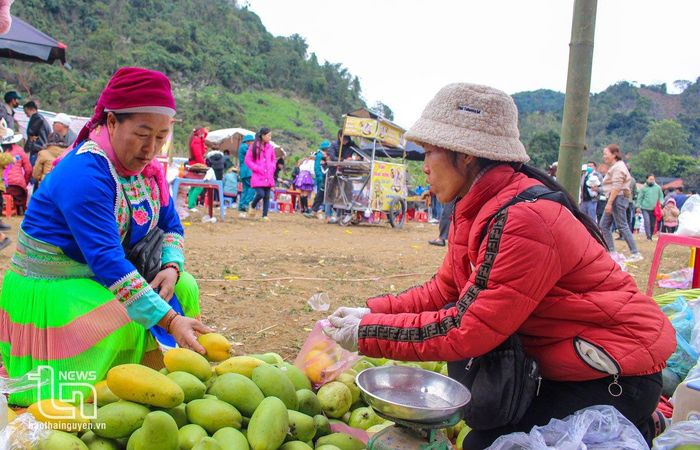 Không chỉ là dịp để vui chơi, gặp gỡ bạn bè, Lễ hội còn là nơi để đồng bào Mông chia sẻ, học hỏi kinh nghiệm trồng trọt, chăn nuôi, cùng nhau phát triển kinh tế, vươn lên thoát nghèo.