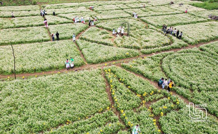 Điểm nhấn của Lễ hội Gầu Tào năm nay là lần đầu tiên người dân Lân Quan trồng những vườn hoa tam giác mạch, hoa cải để phục vụ du khách đến tham quan, trải nghiệm.