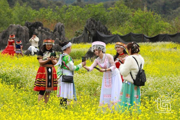 Sắc vàng của hoa cải rực rỡ giữa núi rừng Lân Quan.
