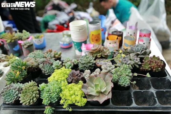 Mọi người đến tham dự, vui chơi, ăn uống có thể mang theo các loại rác như vỏ hộp sữa, bìa giấy, sách vở, giấy báo, tạp chí cũ, vỏ lon, chai nhựa, kim loại… để đổi lấy những món quà nhỏ mang ý nghĩa chung tay bảo vệ môi trường.