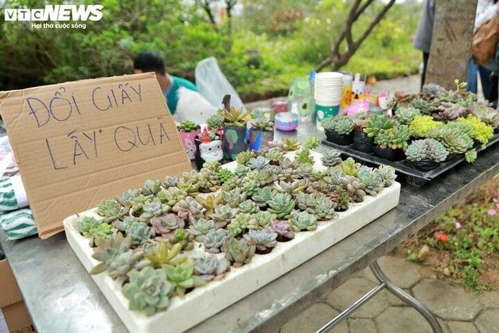 Phiên chợ có nhiều gian hàng từ ẩm thực, cây xanh, đồ lưu niệm. Trong đó, gian hàng nhận được nhiều sự quan tấm nhất là đổi rác lấy quà. Theo đó, ban tổ chức và các tình nguyện viên đã chuẩn bị sẵn những món quà nhỏ như cây sen đá, cốc giấy, chậu cây tái chế từ chai lọ, khăn…