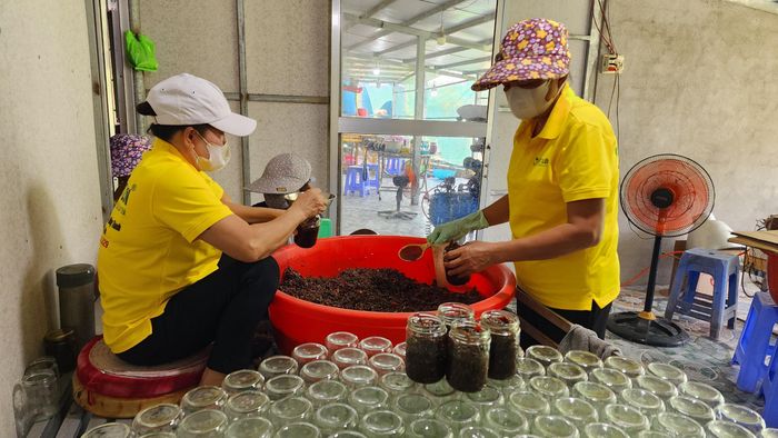  Huyện Đức Huệ có hơn trăm lao động làm nghề dặm cá lia thia và làm mắm ngoài việc đồng án 