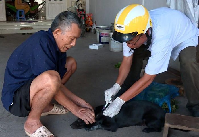 Người dân cần tuân thủ pháp luật về việc tiêm vắc xin phòng bệnh dại cho chó, mèo nuôi - Ảnh: CDC Đồng Nai