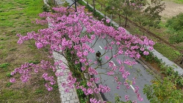 Ảnh: MT/ https://dulich.petrotimes.vn/