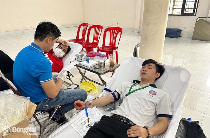 Học sinh, sinh vien Trường cao đẳng Hòa Bình Xuân Lộc tham gia hiến máu tình nguyện (Ảnh: ĐVCC)
