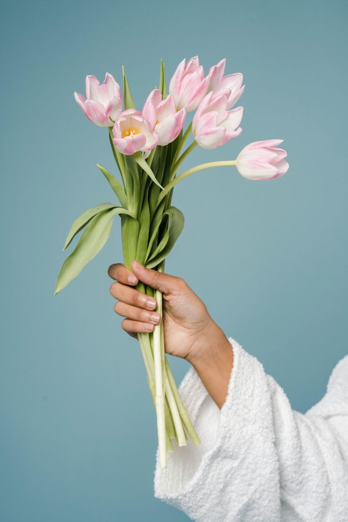  Chế thơ là một cách chúc mừng 8/3 thú vị, ấn tượng. Ảnh minh họa: Pexels/Sora Shimazaki. 