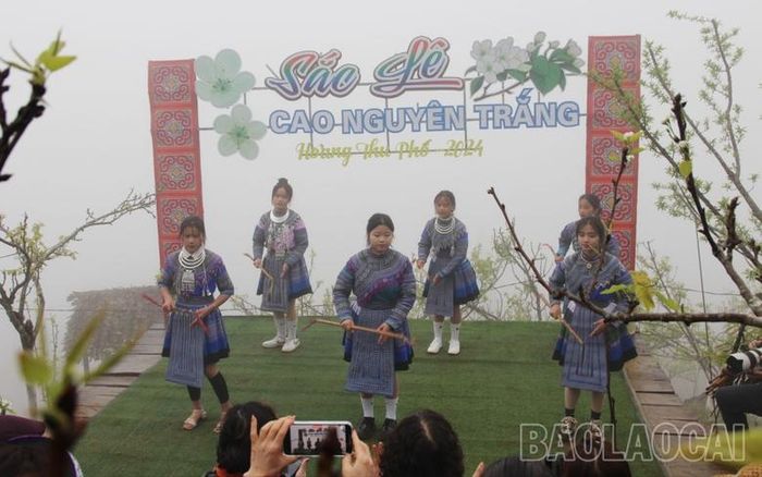  Biểu diễn văn nghệ tại Festival “Sắc lê Cao nguyên trắng”. 