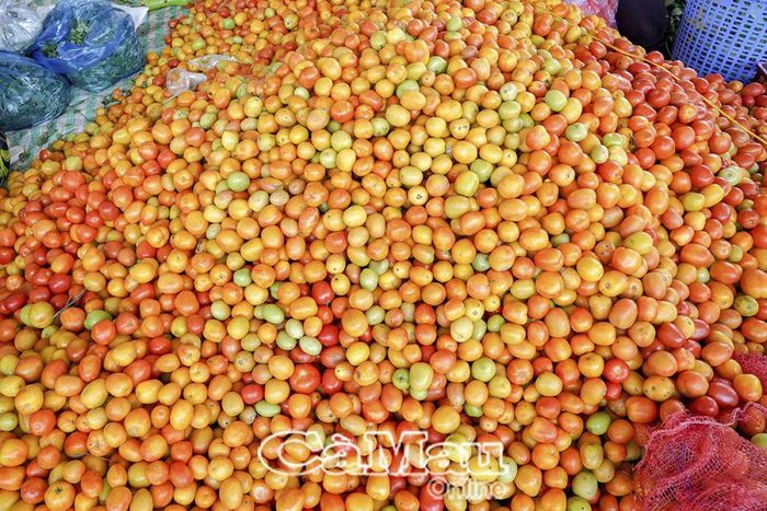 Sản phẩm cà chua của bà Trần Thúy Hằng, Ấp 5, xã Trần Hợi vừa thu hoạch.