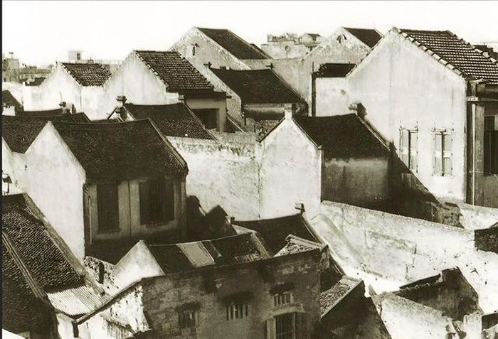 Mái ngói thâm nâu của Hà Nội. Ảnh: Võ An Ninh