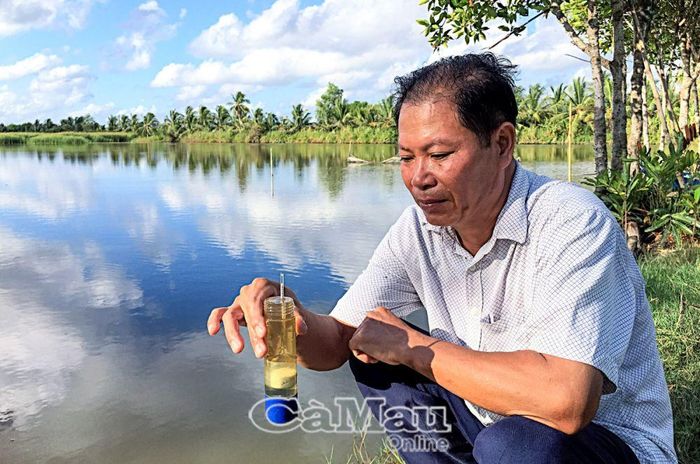 Trong điều kiện nắng hạn, vuông tôm hộ ông Lê Thanh Sử vẫn duy trì độ mặn phù hợp, giúp tôm nuôi phát triển.