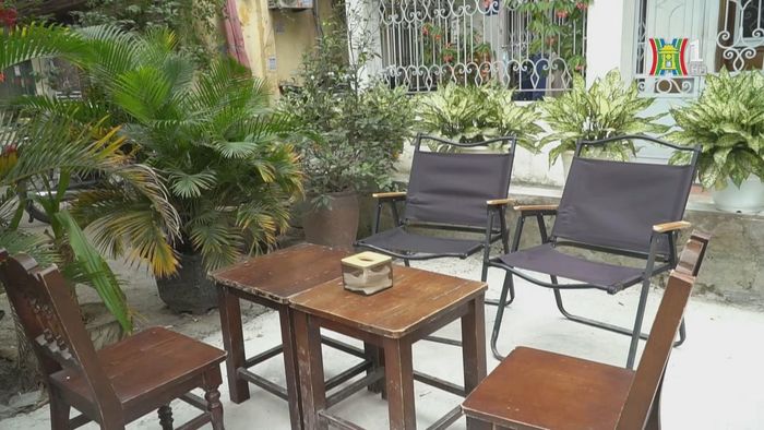 Không gian xanh của quán cafe khu tập thể cũ hấp dẫn nhiều vị khách