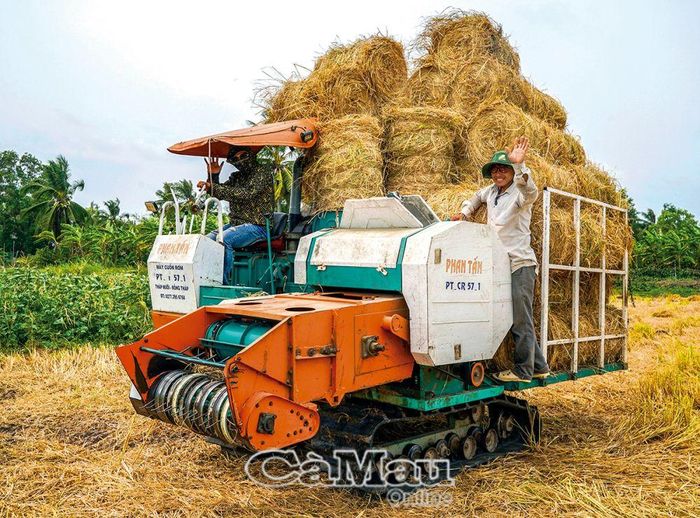 Máy cuộn rơm chuyên dụng rất tiện lợi cho việc vừa thu gom, vừa vận chuyển rơm.