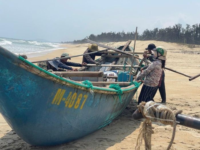 Mùa khai thác ốc ruốc thường kéo dài từ độ tháng Giêng đến hết tháng 3 Âm lịch hằng năm. Ốc ruốc tập trung nhiều nhất ở vùng bãi ngang ven biển huyện Mộ Đức, đặc biệt là ở xã Đức Minh. Ảnh: Hà Phương