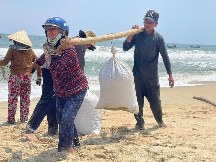 và vận chuyển ốc giao cho thương lái. Ảnh: Hà Phương