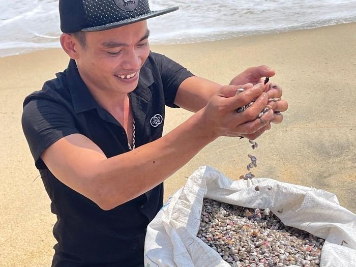 Trung bình, mỗi ghe cào được 2-3 bao ốc với giá từ 750 nghìn đồng đến 1 triệu đồng/bao. Cũng có thời điểm khai thác được nhiều hơn. Ảnh: Hà Phương