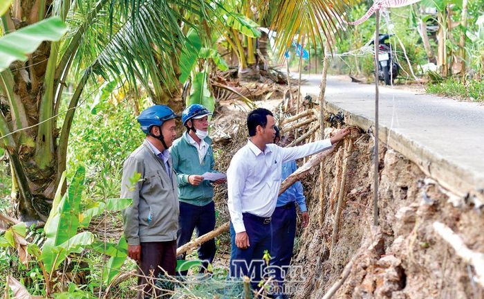 Ông Bùi Chí Ngạn, Phó chủ tịch UBND xã Khánh Bình Tây Bắc (áo trắng), cho biết, khô hạn đến sớm và diễn ra gay gắt, làm sụt lún, sạt lở lộ tại 30 vị trí, với chiều dài hơn 618 m, phần lớn là lộ bê tông. Tận dụng vật liệu tại chỗ, với sự chung tay của các tổ chức, đoàn thể, người dân đã tiến hành nhiều giải pháp ngăn chặn, giảm thiểu thiệt hại. (Ảnh chụp tại bờ Tây, Tuyến 86, Ấp 1).