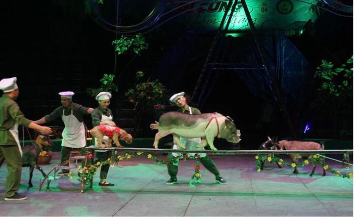 Hoạt cảnh 'Lê anh nuôi' trong chương trình 'Đi cùng năm tháng' của Liên đoàn Xiếc Việt Nam. Ảnh: LĐXVN.