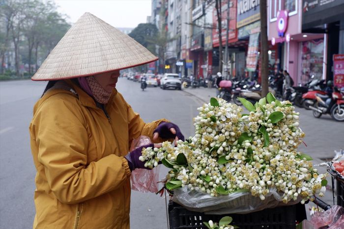 Gánh hoa bưởi rong của chị Trần Thị Linh