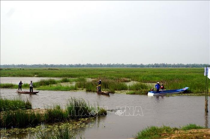 Một góc hệ sinh thái sông Đầm.