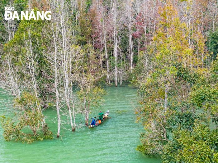 Để tiếp cận cánh rừng, du khách có thể thuê thuyền, sau đó chèo men theo cánh rừng.