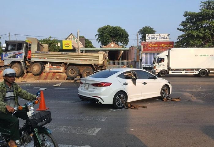Xe ô tô con bị trụ đèn ngã đổ đâm xuyên thấu qua 2 cửa kính khiến tài xế trọng thương. Ảnh: Lâm Thiện.