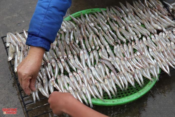 Nghề nướng cá biển ở xã Diễn Vạn tồn tại hàng trăm năm qua, hiện toàn xã có hơn 20 cơ sở lớn với khoảng 200 lao động.