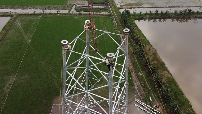 Lắp dựng cột tại vị trí 92 (xã Nga Thắng, Nga Sơn, Thanh Hóa) ĐZ 500kV NMNĐ Nam Định 1-Thanh Hóa. Ảnh: Huy Hùng/TTXVN