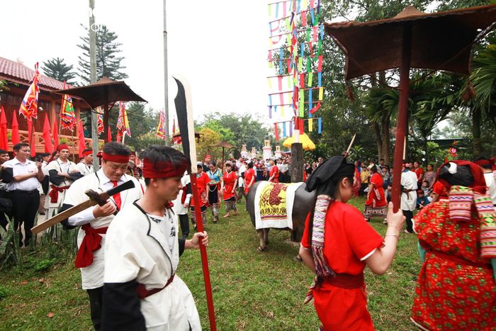  Điểm nhấn đặc sắc của Lễ hội đền Chín Gian ở huyện Quế Phong, đó là lễ hiến trâu. Ảnh: Sách Nguyễn 