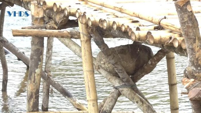 Kết cấu cây cầu thiếu an toàn