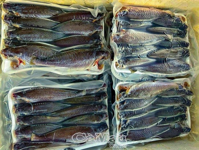 Ðặc sản cá đù sóc một nắng.