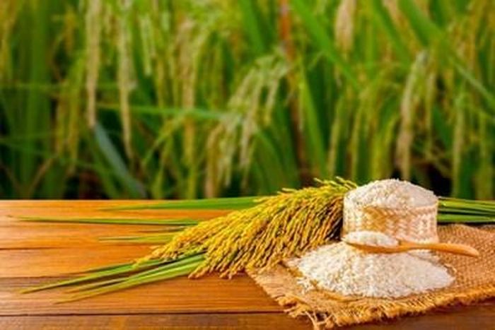 Giá lúa gạo hôm nay (24-3) sôi động phiên cuối tuần. Ảnh minh họa: thoibaotaichinhvietnam.vn