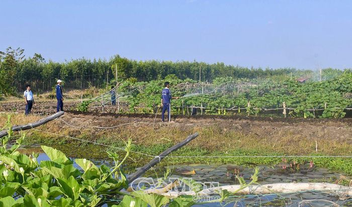 Đối với những người làm nghề công tác xã hội, công việc hằng ngày không tính bằng thời gian, thể hiện giá trị nhân văn, tình người cao đẹp.